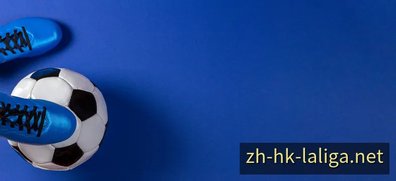西甲資訊與分析